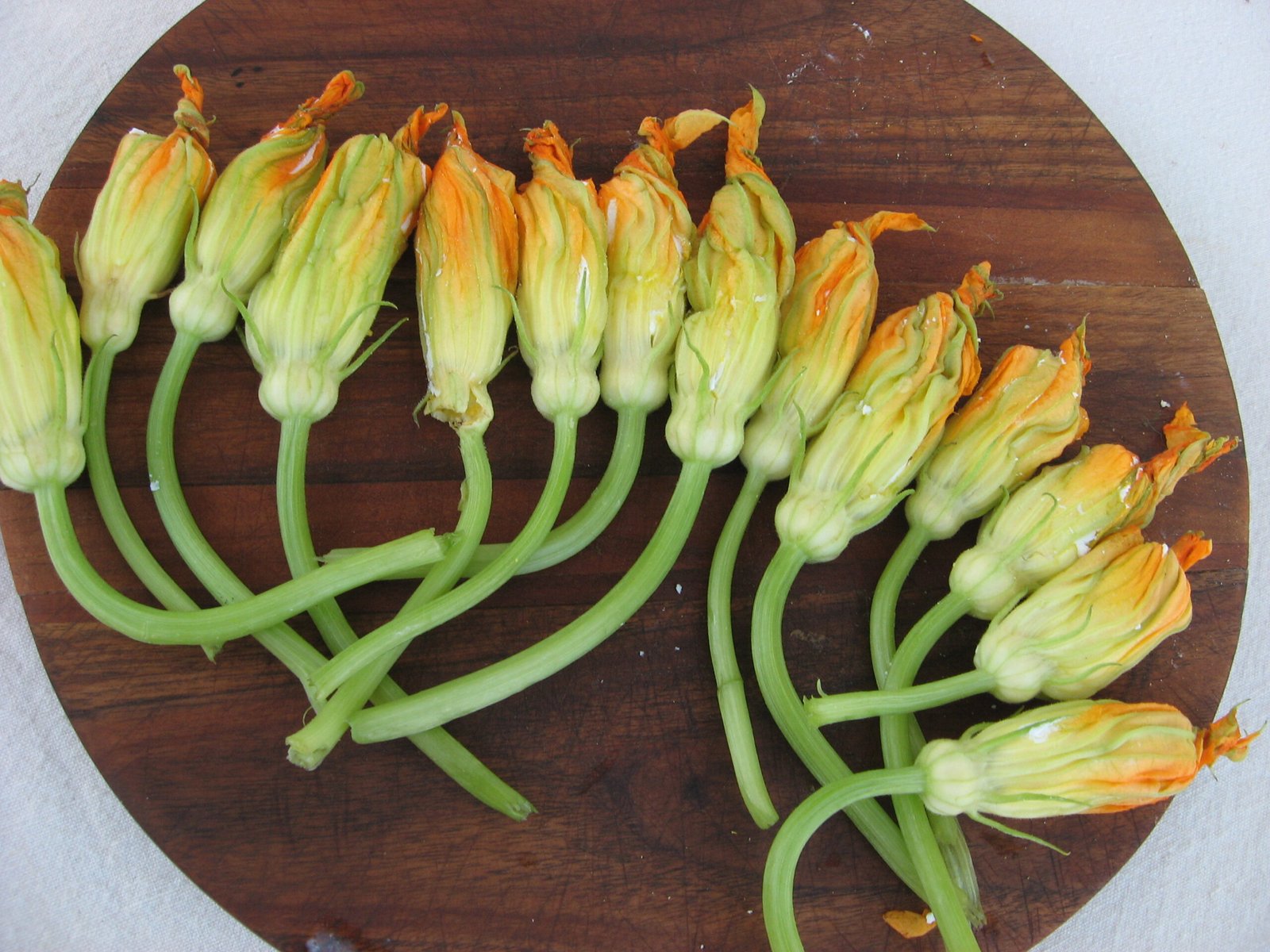 Fried Zucchini Blossoms with Goat Cheese and Citrus Honey