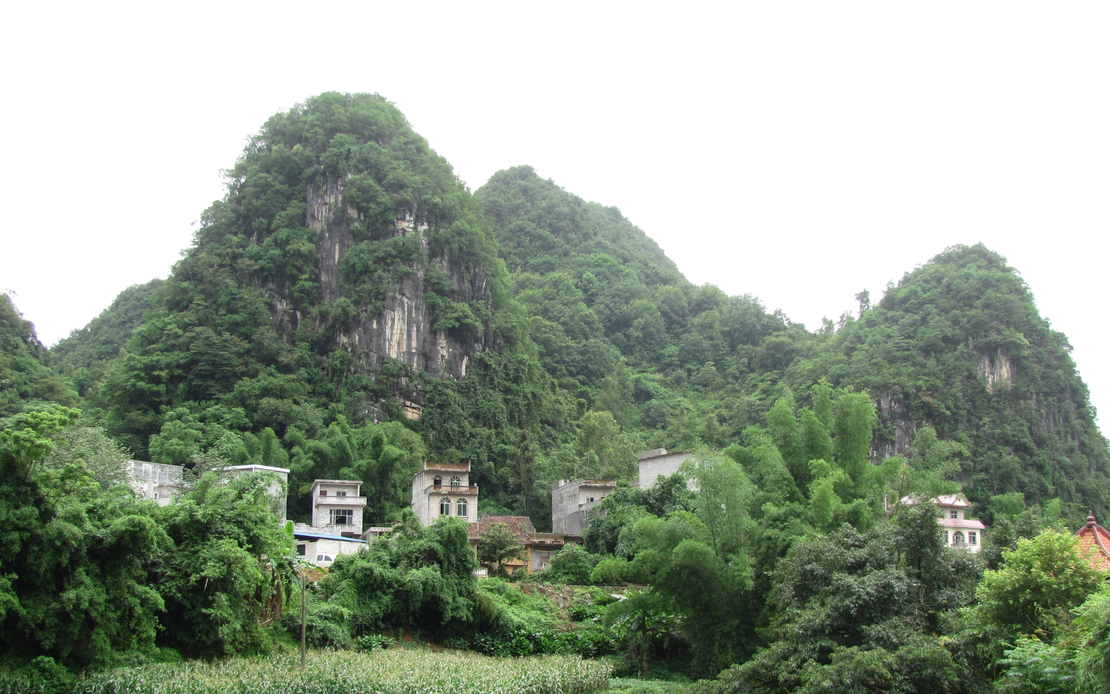 Juan Tong Fen — Rice Rolls in Debao, Guangxi Province