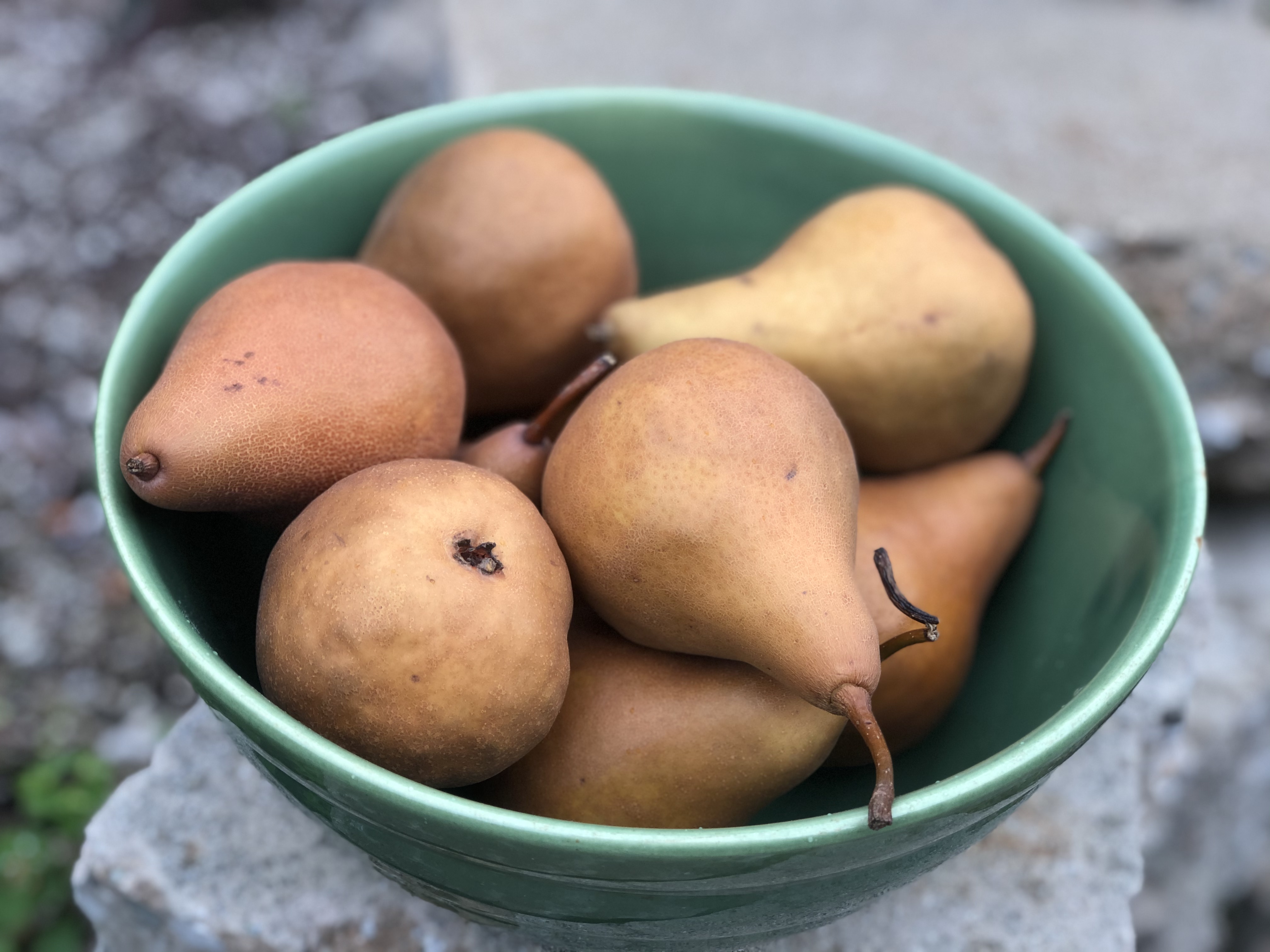 Chinese Pear Soup for Lung Health