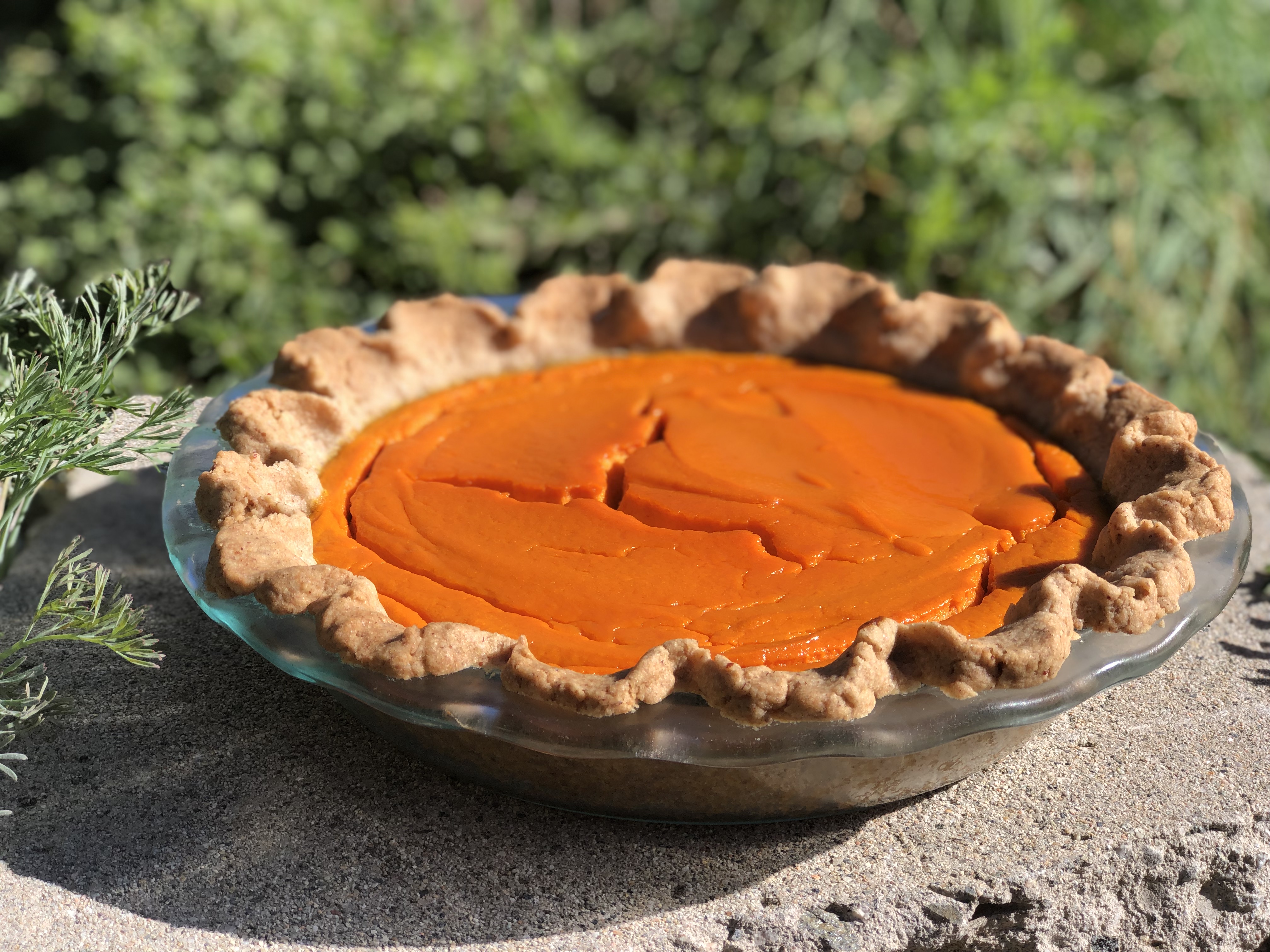 Thanksgiving Carrot Pie with Pecan Crust