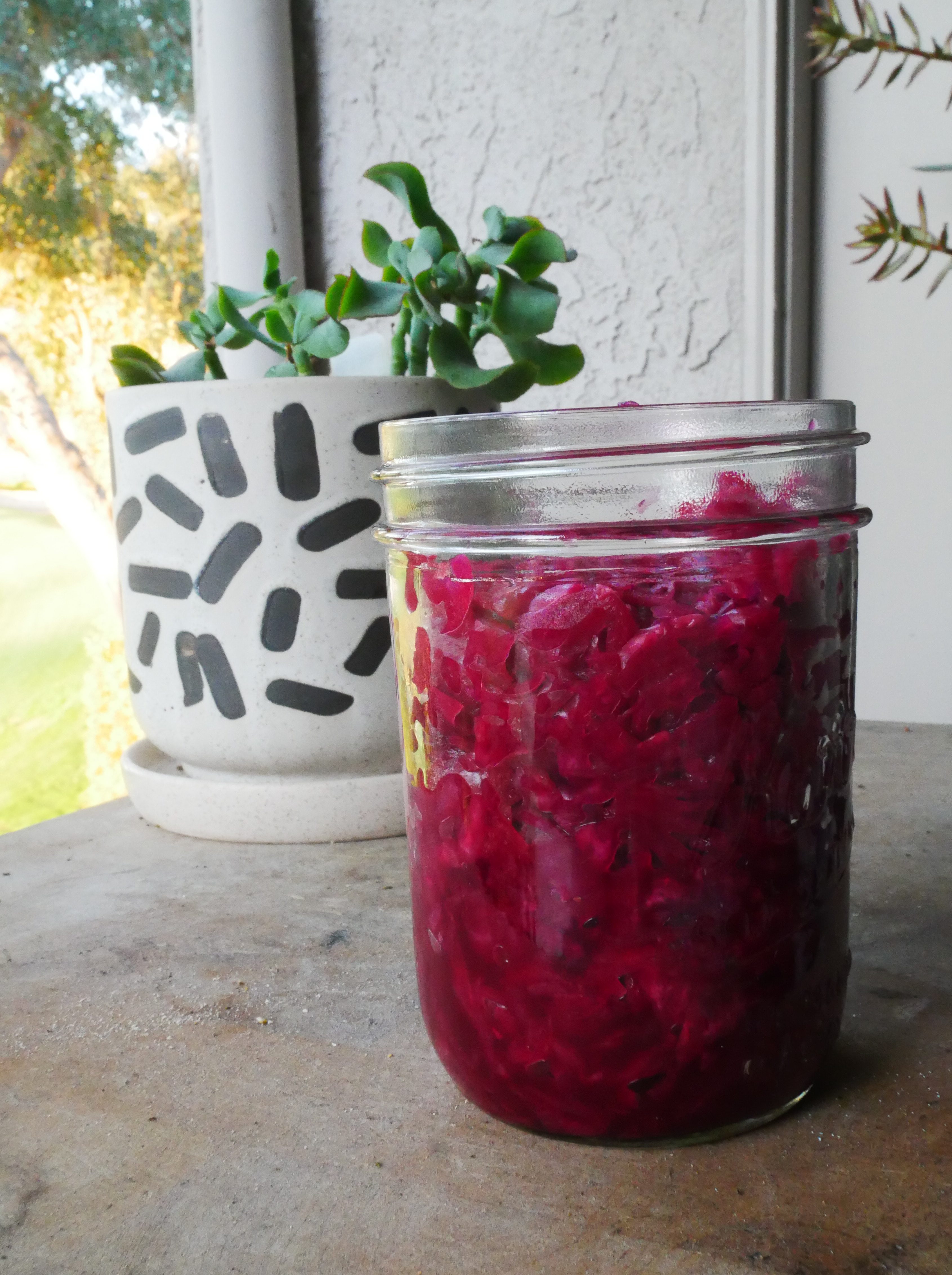 Homemade Purple Sauerkraut