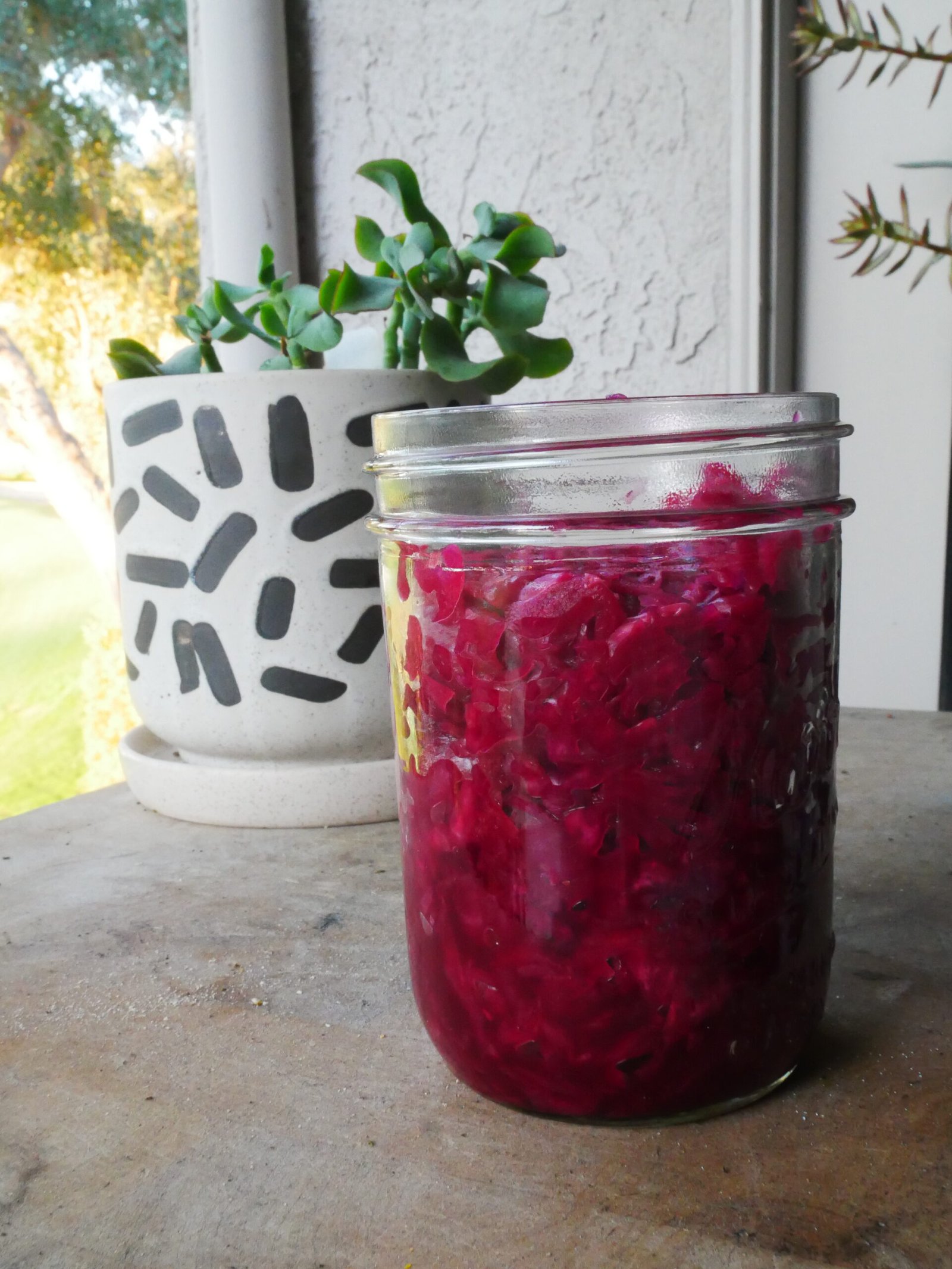 Homemade Purple Sauerkraut