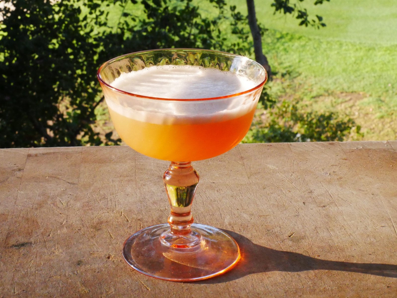 Aquafaba Whiskey Sour