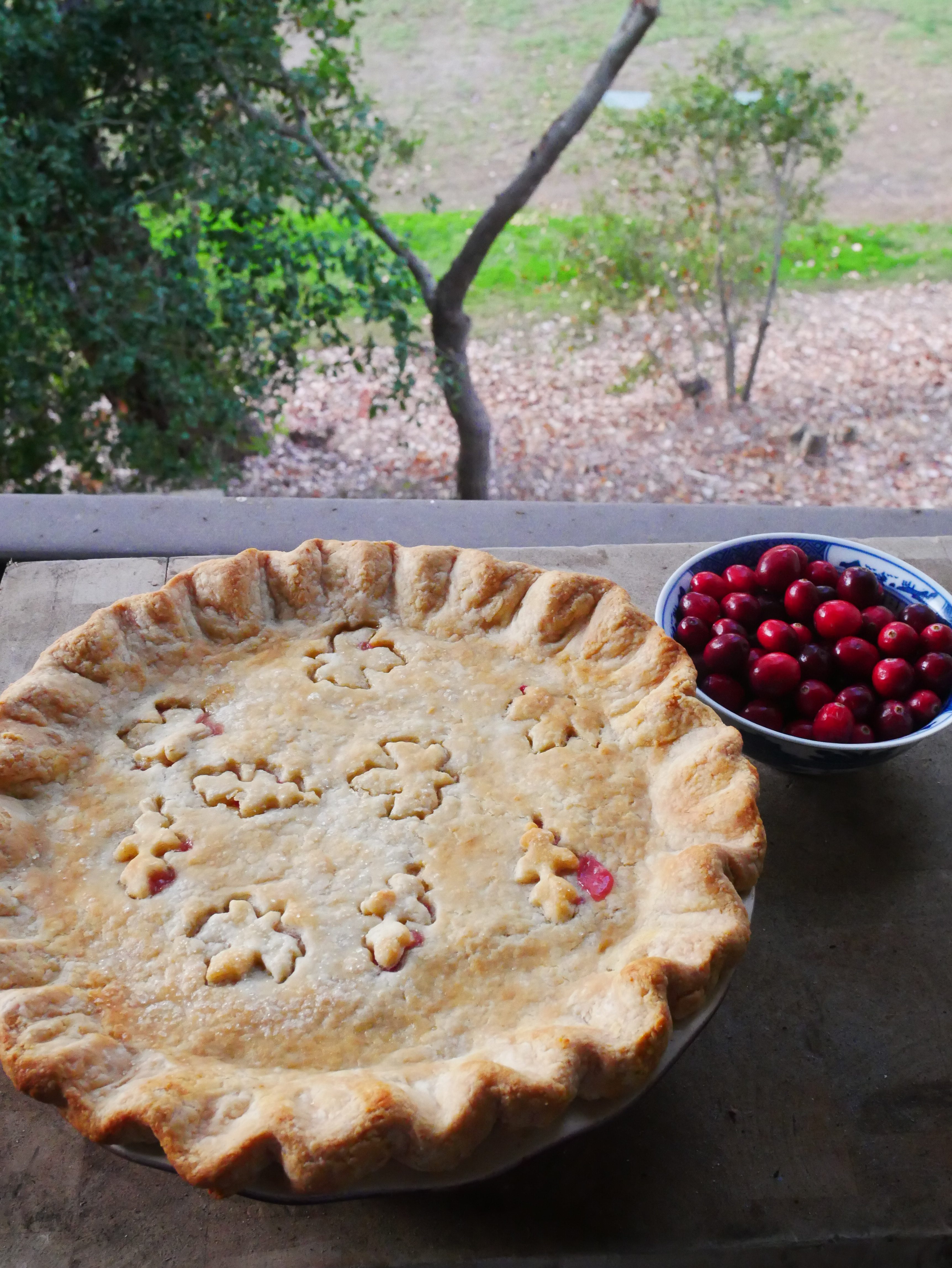 Mom’s Flaky Pie Crust